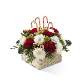 Le bouquet Couleurs de Noel